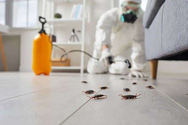 Trusted Termite Control service in Jenkintown, PA - Nex Pest Control