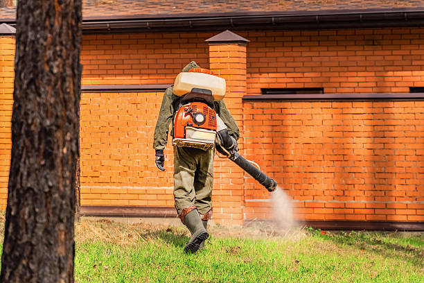 Trusted Ant Control service in Jenkintown, PA - Nex Pest Control